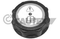 CAUTEX - TAMPAO Liq. Refrig. 03561
